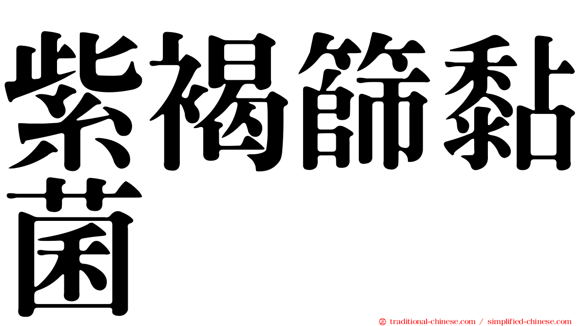 紫褐篩黏菌