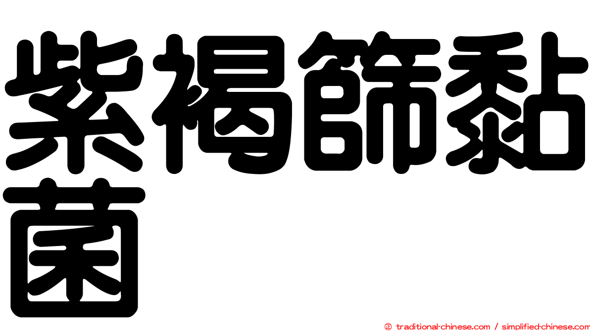 紫褐篩黏菌