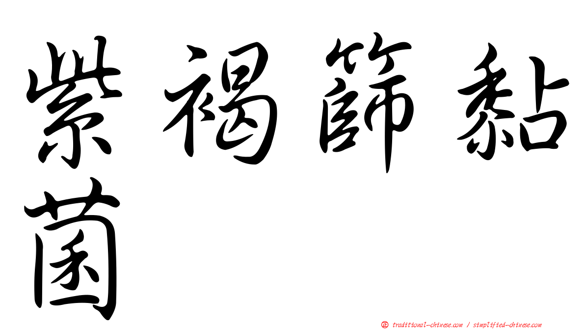 紫褐篩黏菌