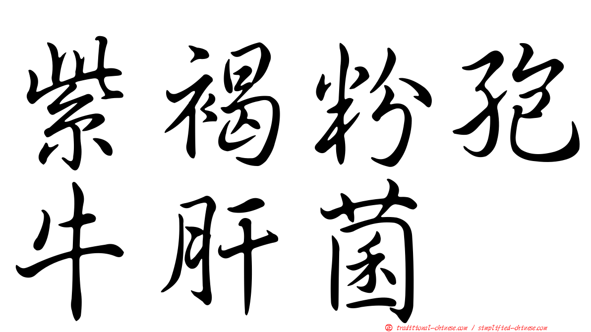 紫褐粉孢牛肝菌
