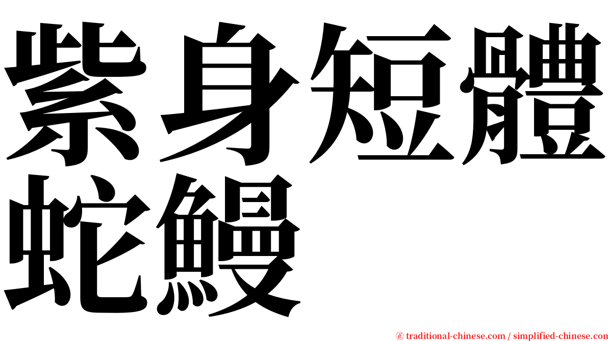 紫身短體蛇鰻 serif font