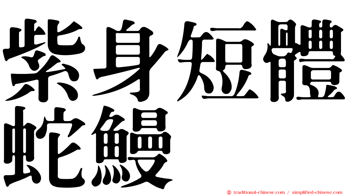 紫身短體蛇鰻