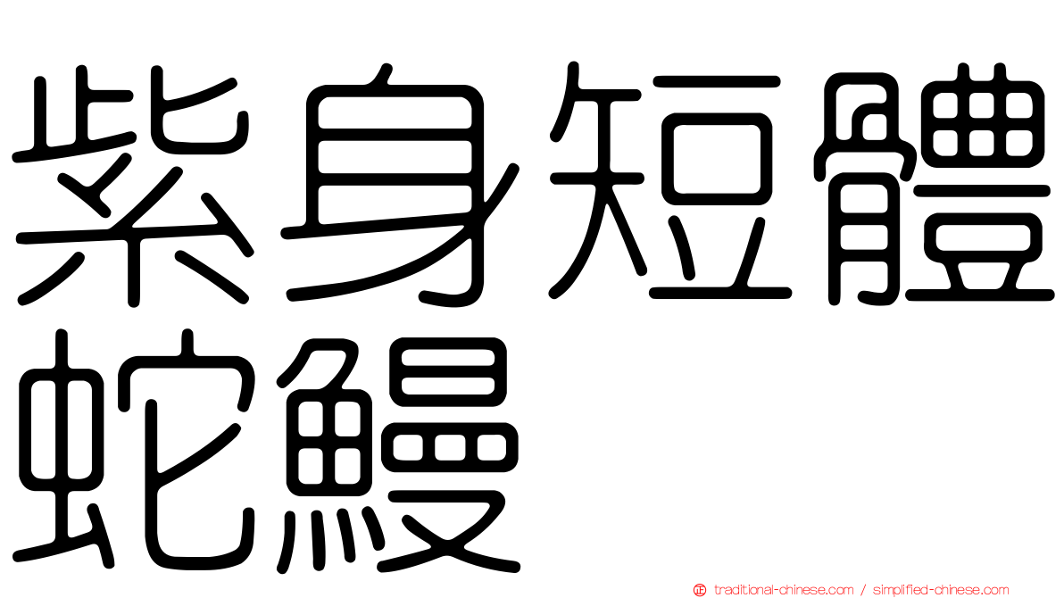 紫身短體蛇鰻