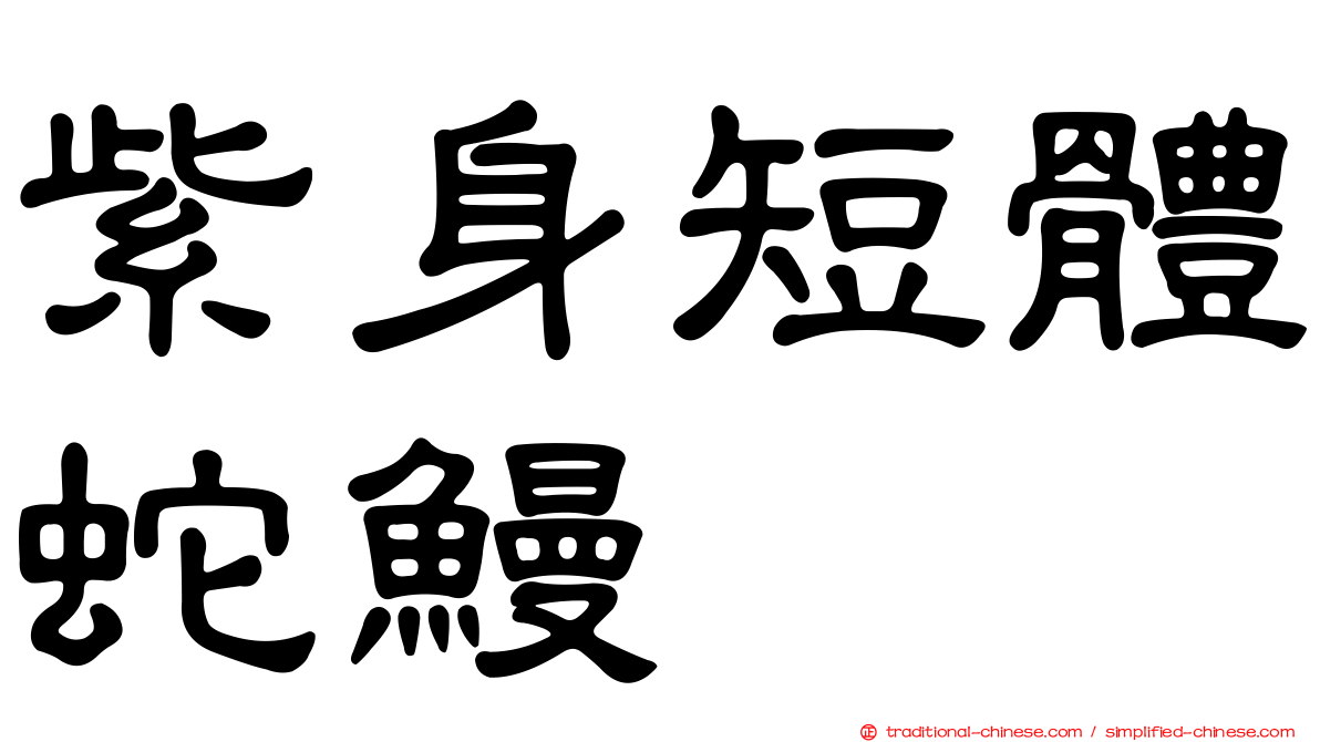 紫身短體蛇鰻