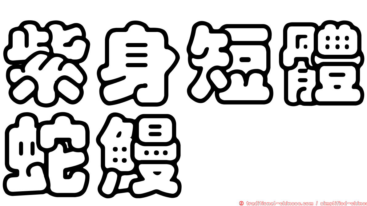 紫身短體蛇鰻