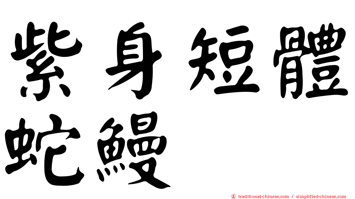 紫身短體蛇鰻
