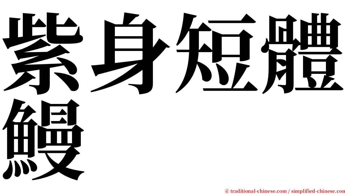 紫身短體鰻 serif font
