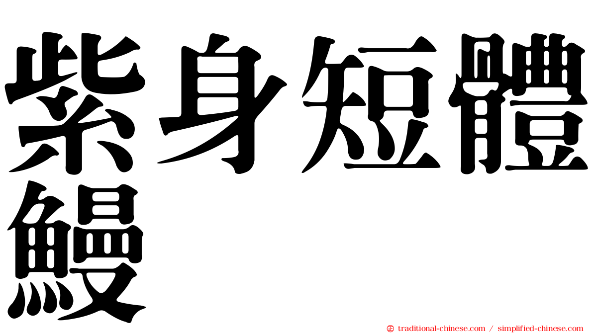 紫身短體鰻
