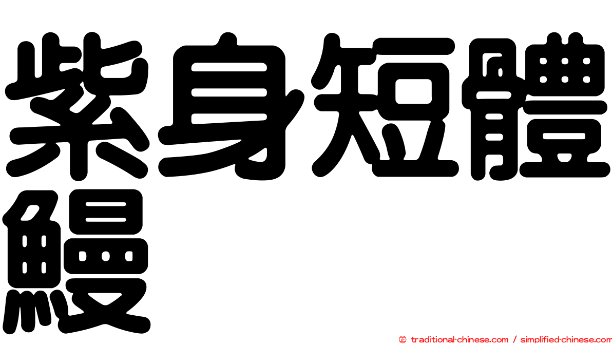紫身短體鰻