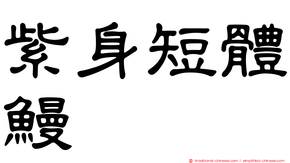 紫身短體鰻