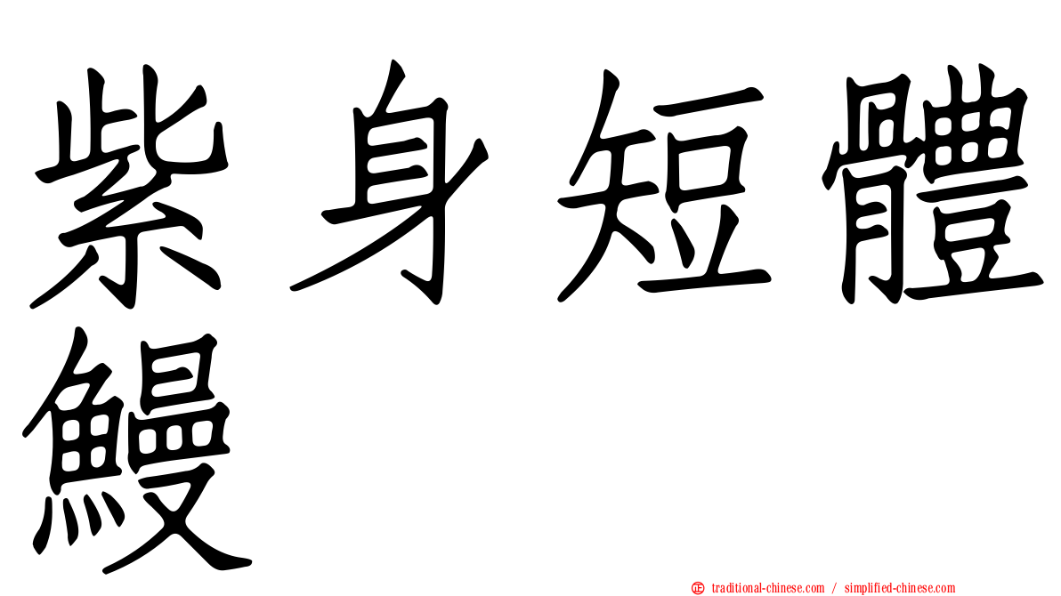 紫身短體鰻