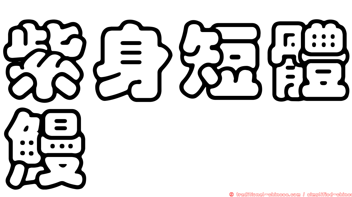 紫身短體鰻