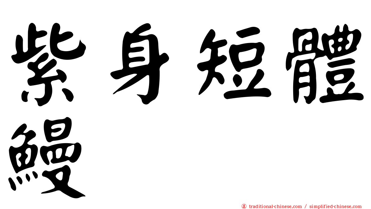 紫身短體鰻