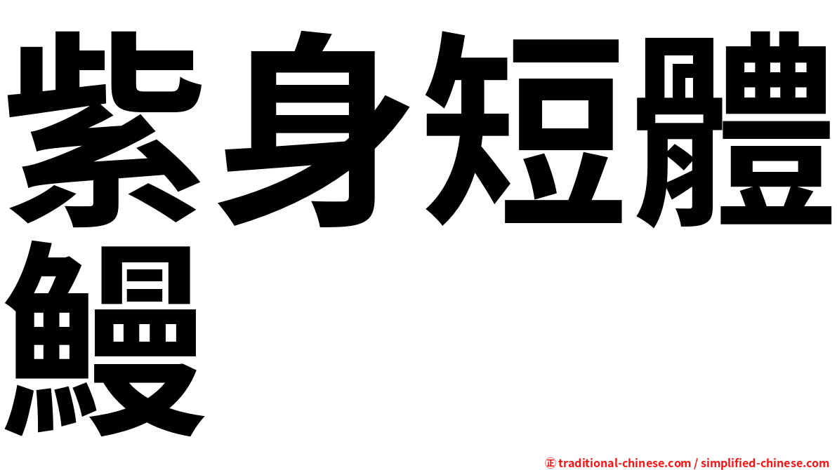 紫身短體鰻