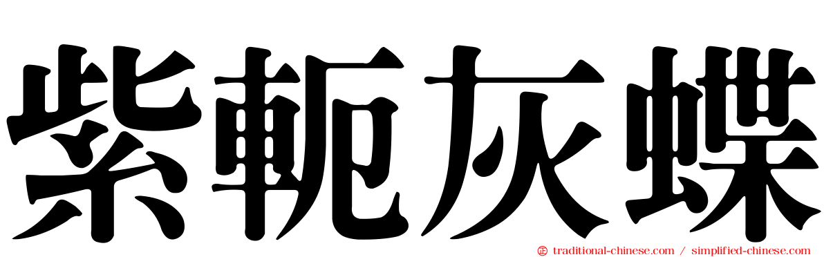 紫軛灰蝶