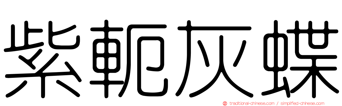 紫軛灰蝶