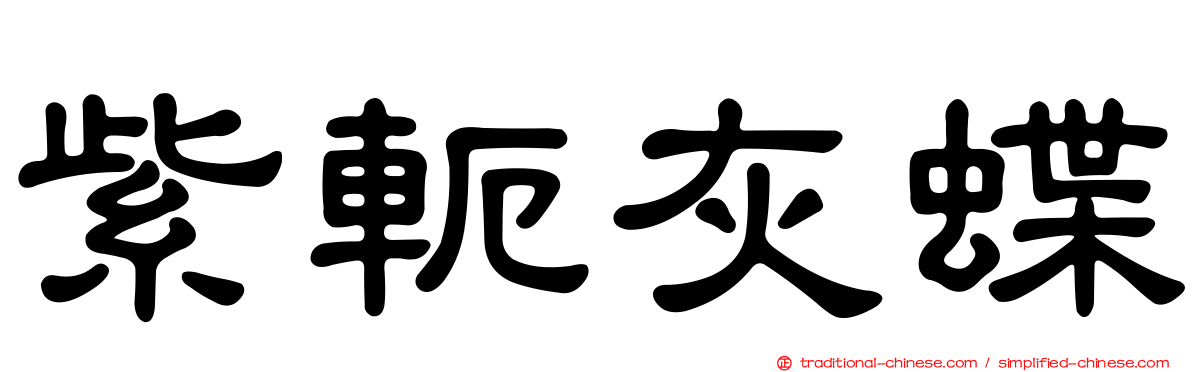 紫軛灰蝶