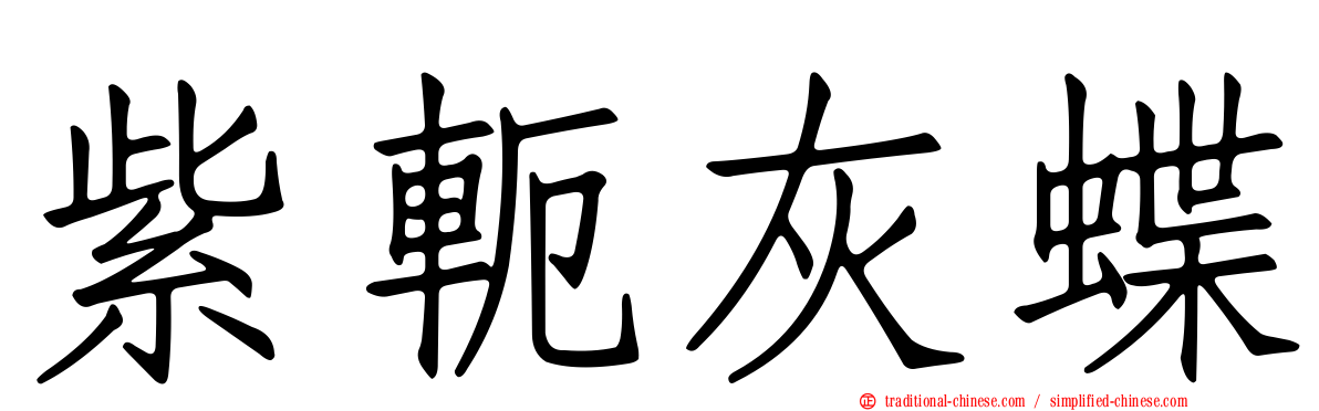 紫軛灰蝶