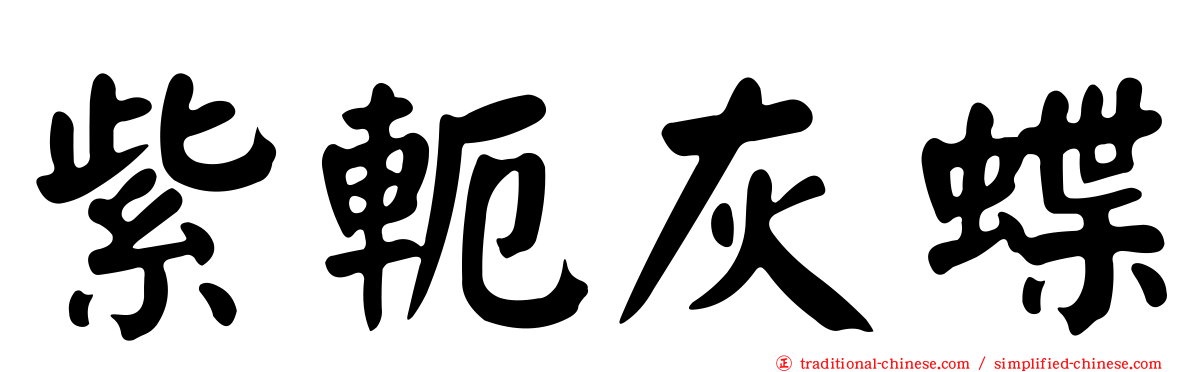 紫軛灰蝶