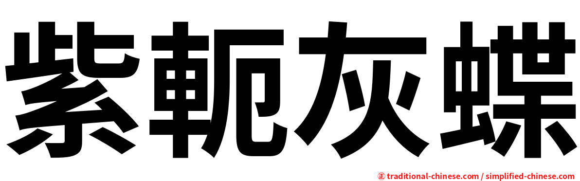 紫軛灰蝶