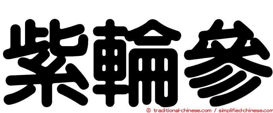 紫輪參