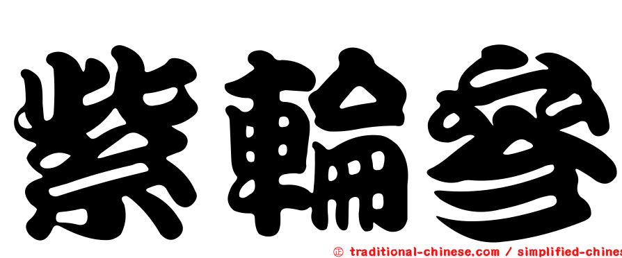 紫輪參