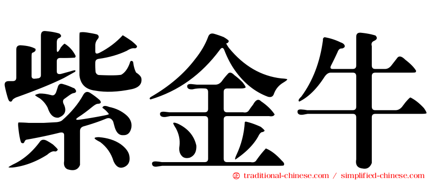 紫金牛