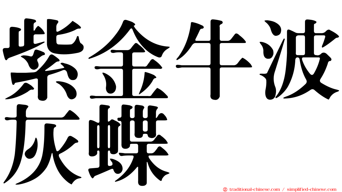 紫金牛波灰蝶