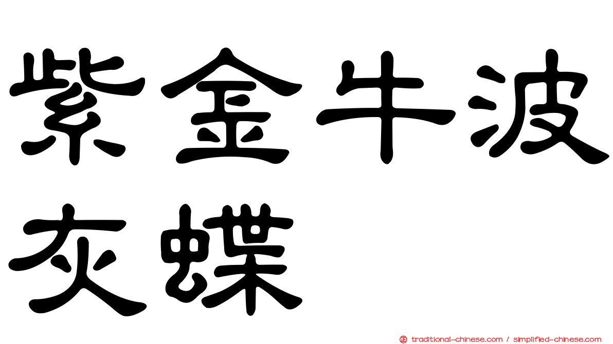 紫金牛波灰蝶