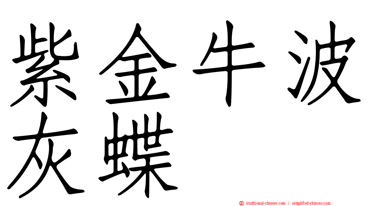 紫金牛波灰蝶