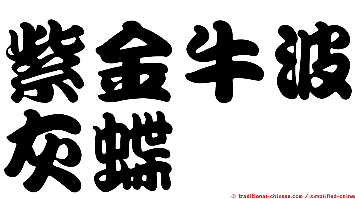 紫金牛波灰蝶