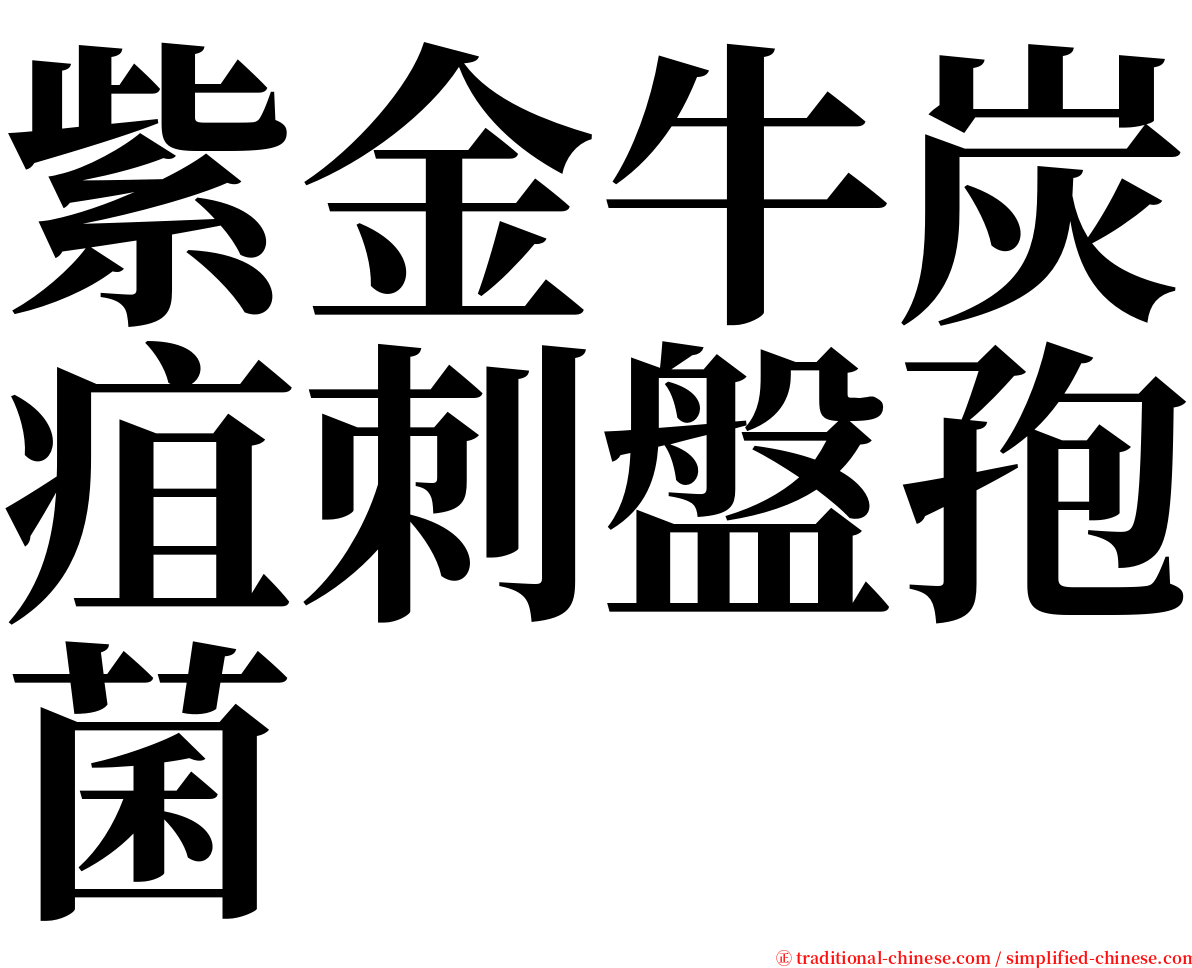 紫金牛炭疽刺盤孢菌 serif font