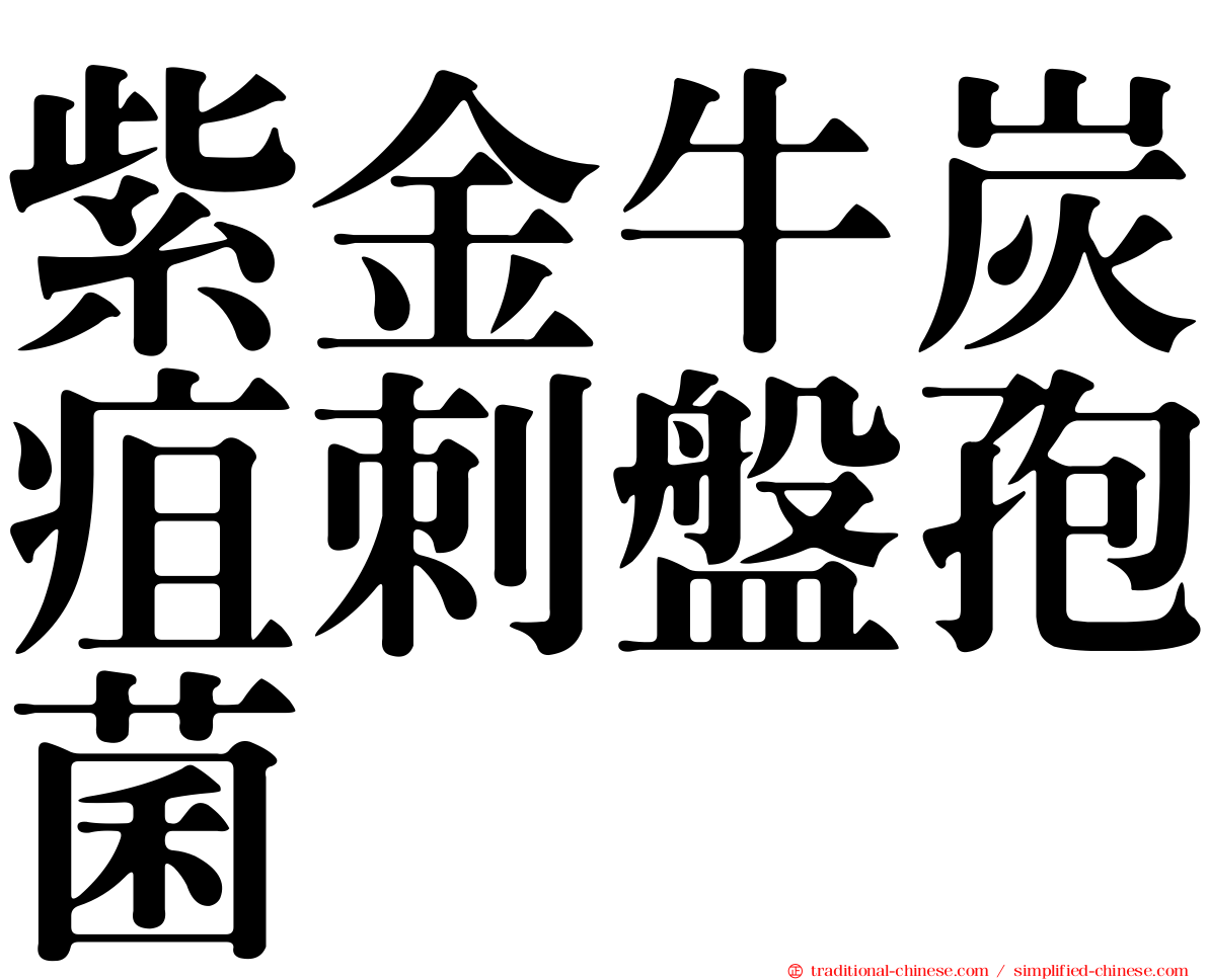 紫金牛炭疽刺盤孢菌