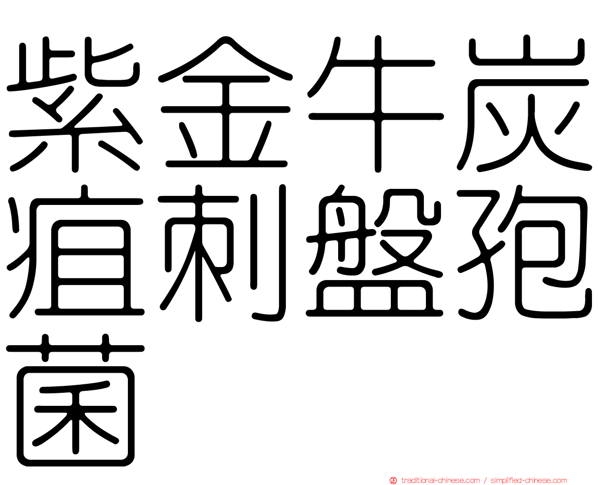 紫金牛炭疽刺盤孢菌
