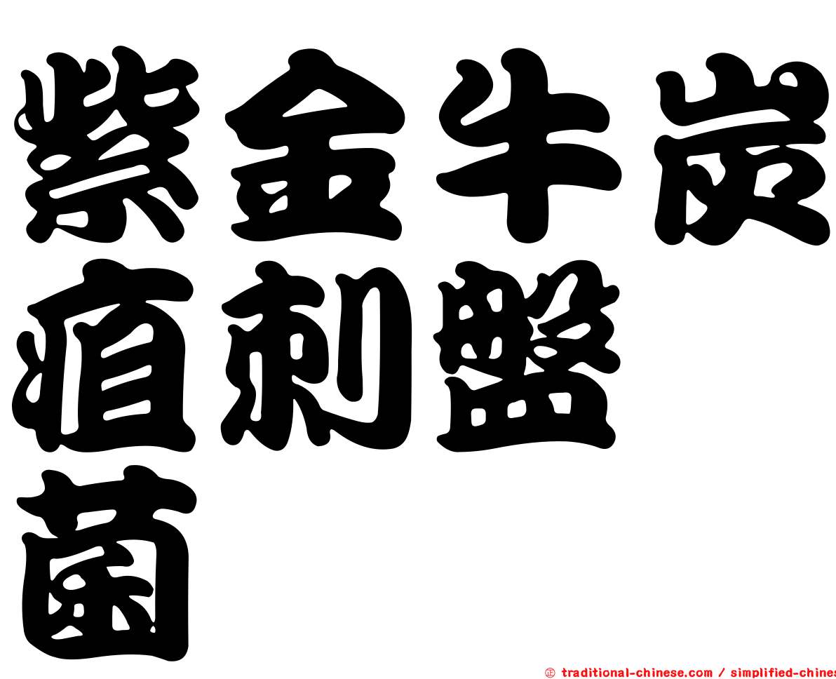 紫金牛炭疽刺盤孢菌