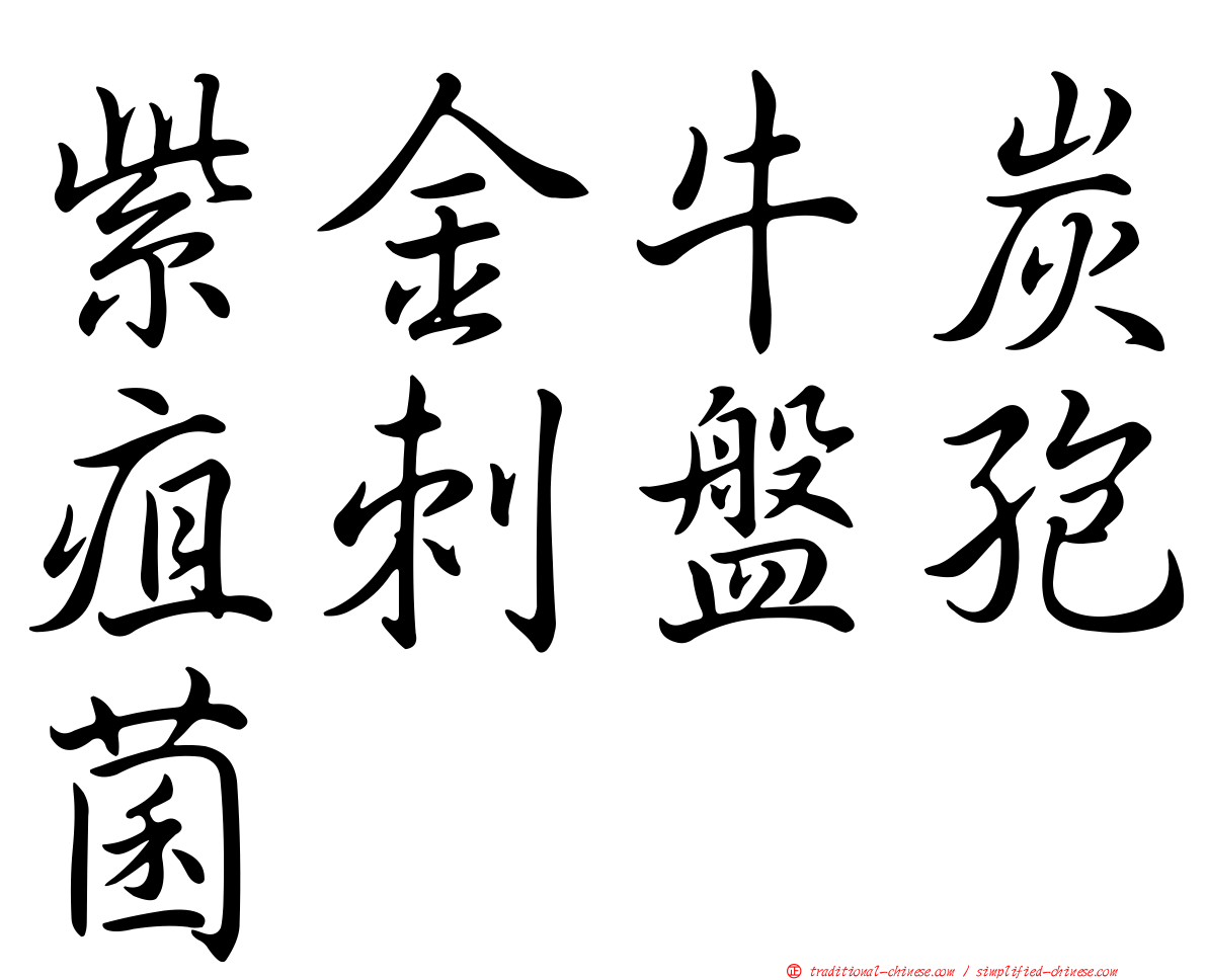 紫金牛炭疽刺盤孢菌