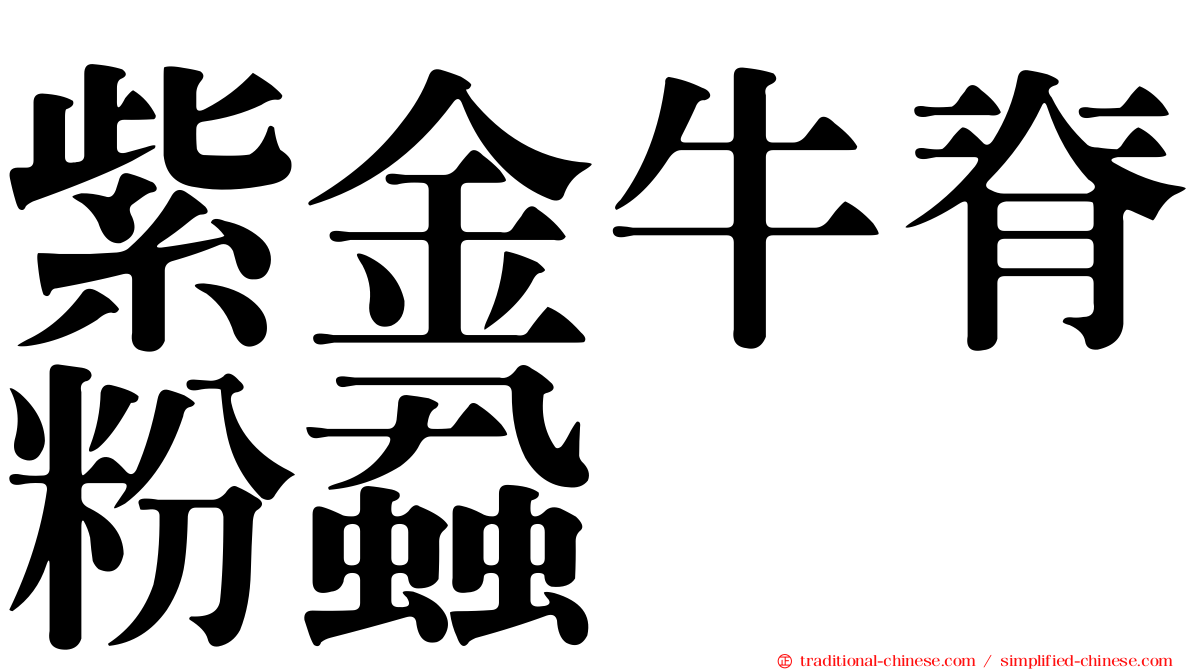 紫金牛脊粉蝨