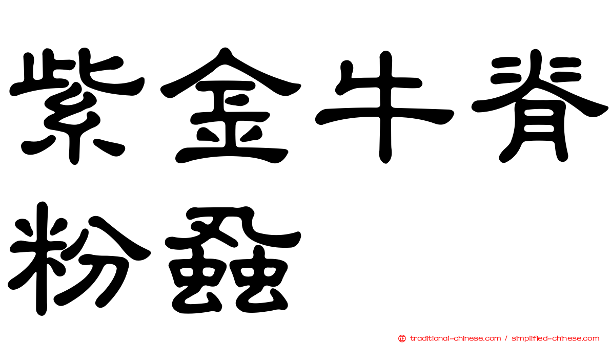 紫金牛脊粉蝨
