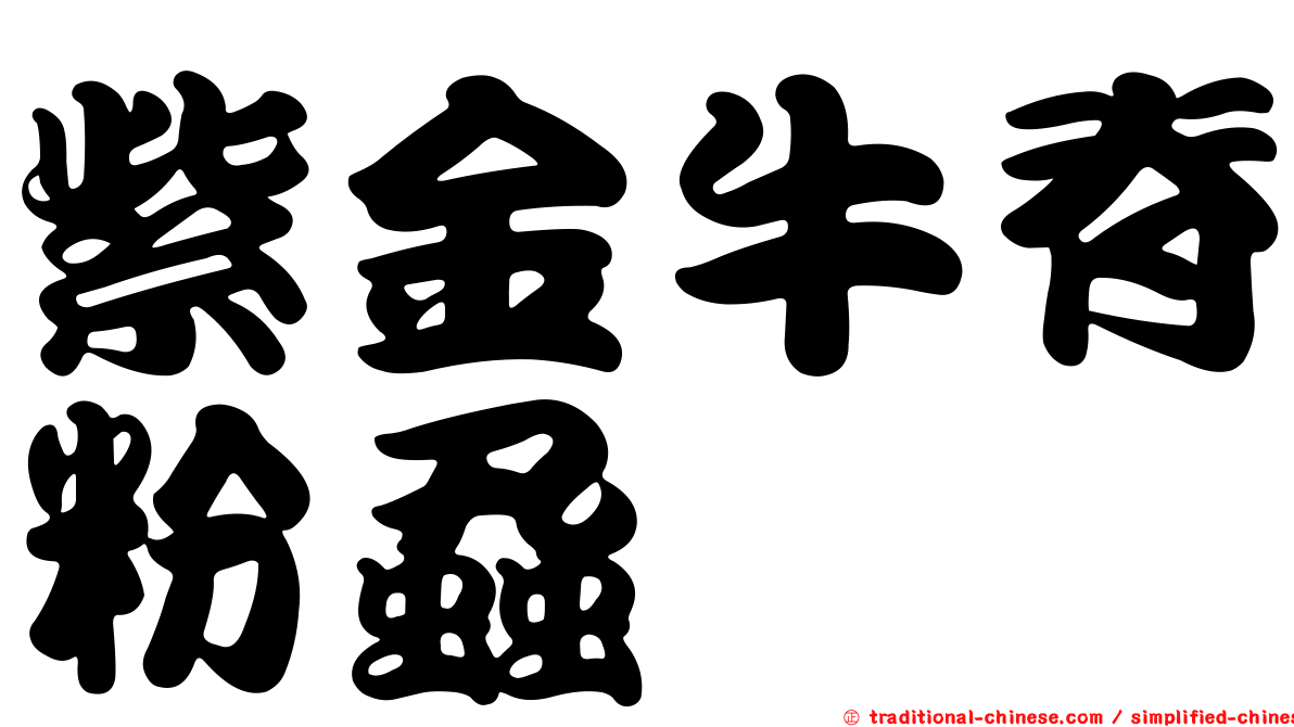紫金牛脊粉蝨