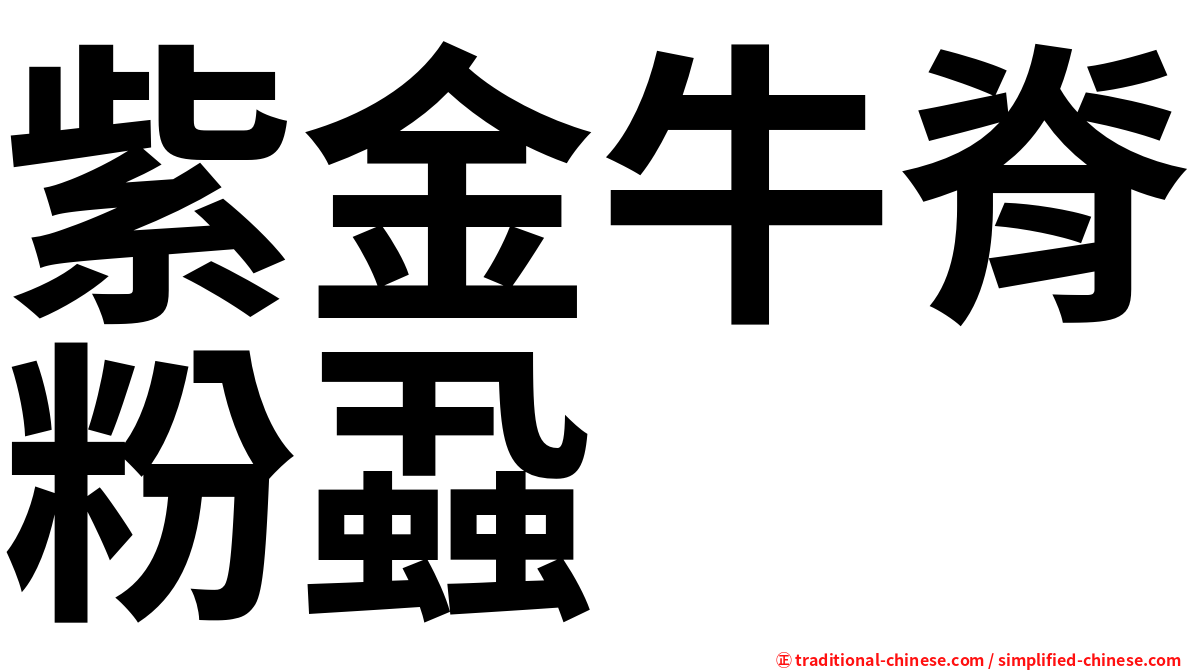 紫金牛脊粉蝨