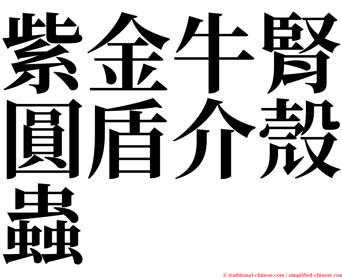 紫金牛腎圓盾介殼蟲 serif font