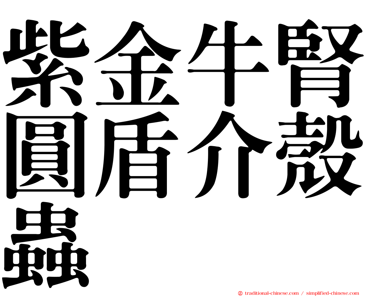 紫金牛腎圓盾介殼蟲