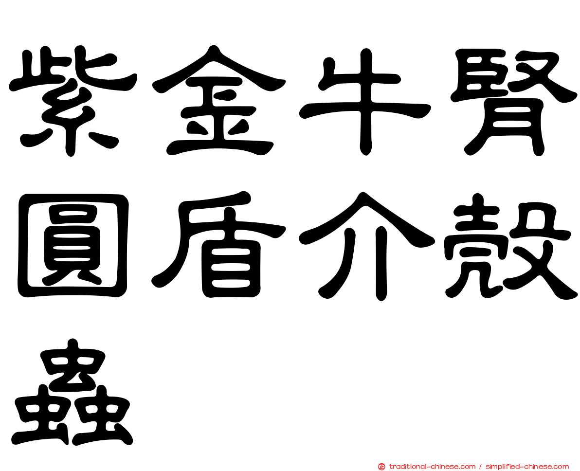 紫金牛腎圓盾介殼蟲