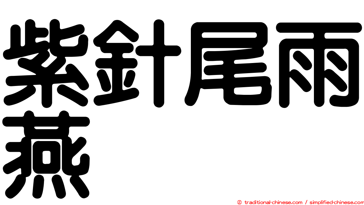紫針尾雨燕