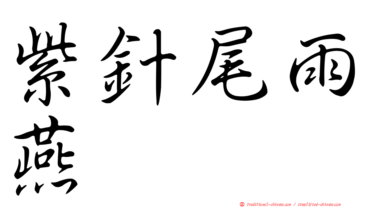 紫針尾雨燕