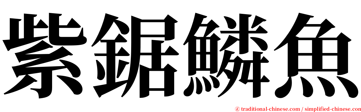 紫鋸鱗魚 serif font