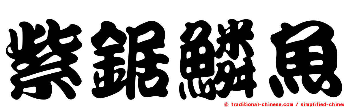 紫鋸鱗魚