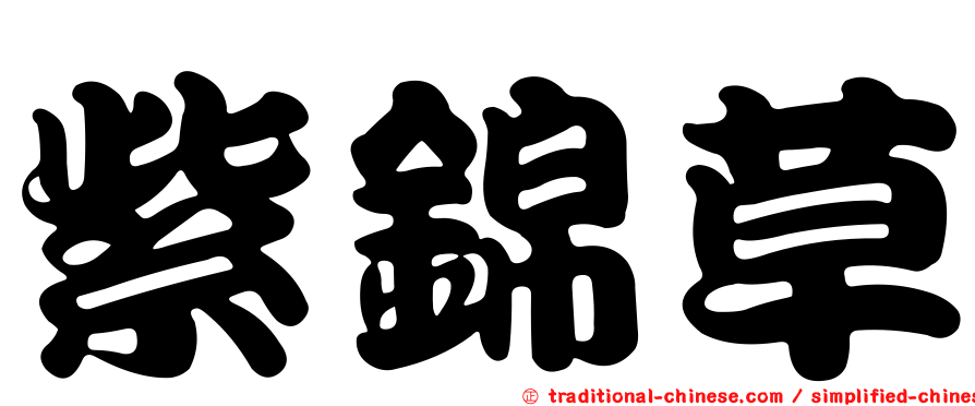 紫錦草