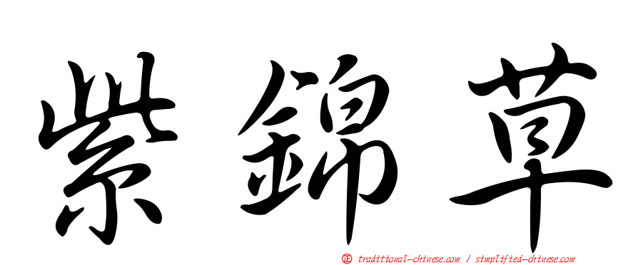紫錦草