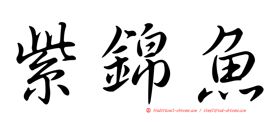 紫錦魚